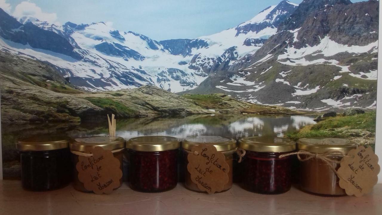 Chalet Le Bois Joli Бонвал-сюр-Арк Екстериор снимка