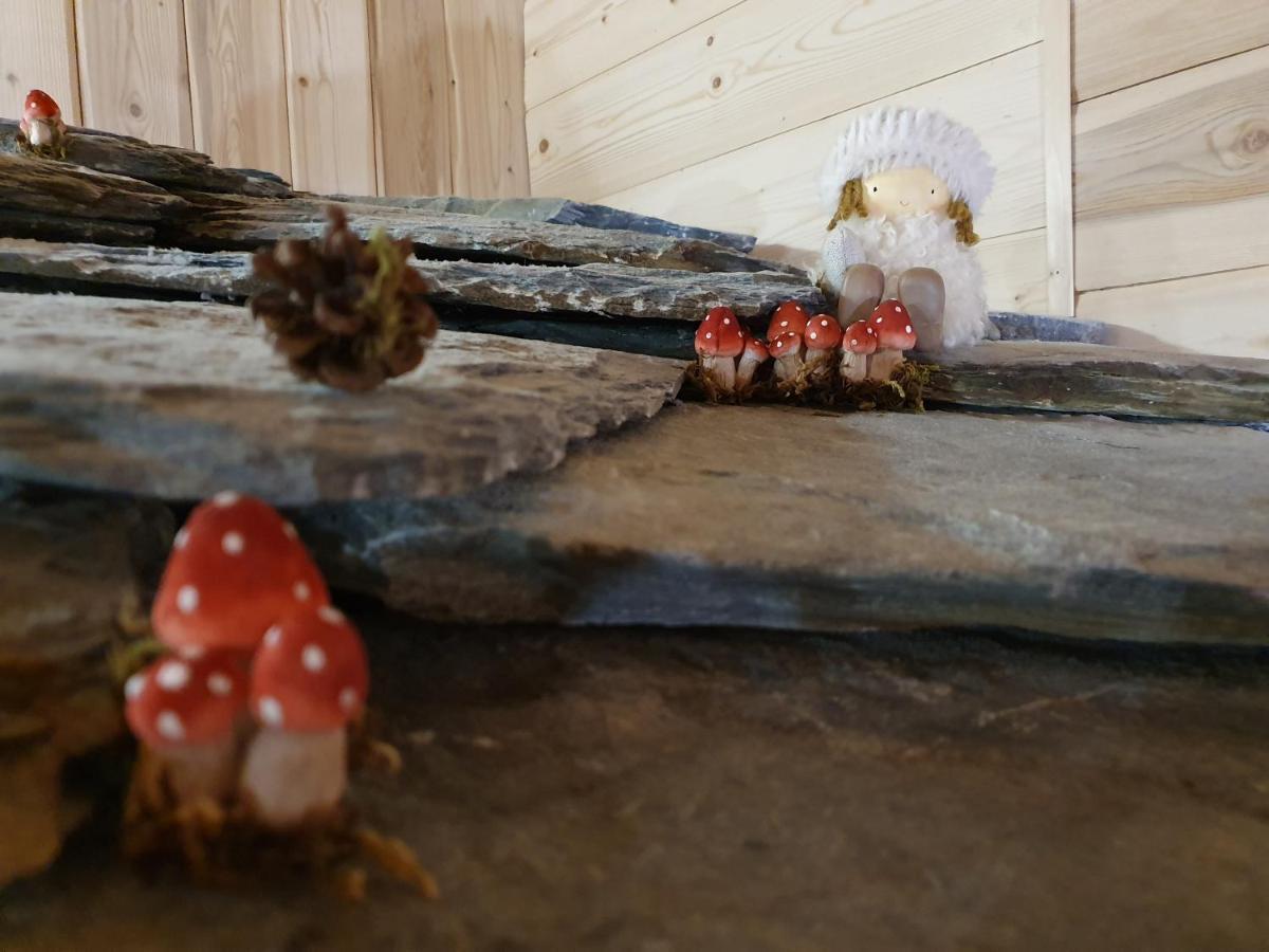 Chalet Le Bois Joli Бонвал-сюр-Арк Екстериор снимка